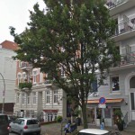 Großer grüner Baum zwischen weißen Altbauten und parkenden Autos – Jobvermittlung durch Staff Eins.